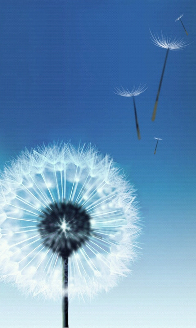 Dandelion flying seeds blue sky free wallpaper for mobile - medium preview image
