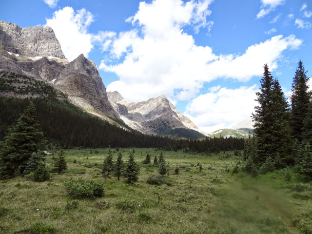 Grassy field trees mountains blue #2 free wallpaper for desktop - medium preview image