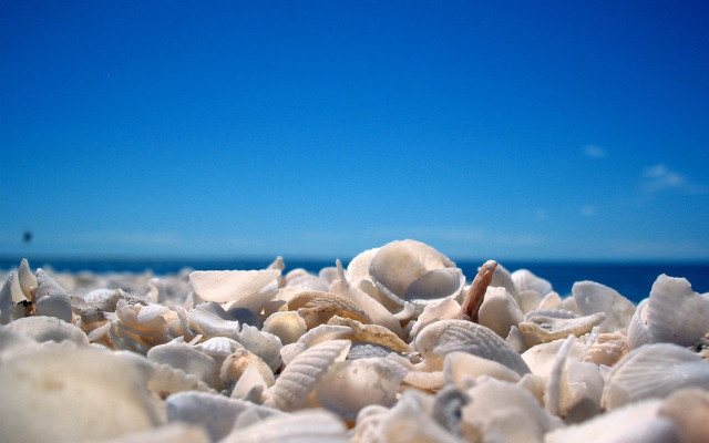 Shells beach blue sky boat free wallpaper for desktop - medium preview image