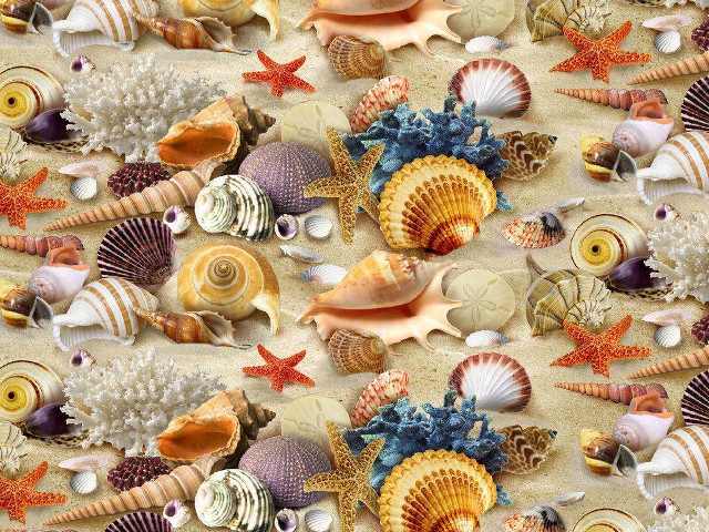 Colorful sea shells starfish beach free wallpaper for desktop - medium preview image