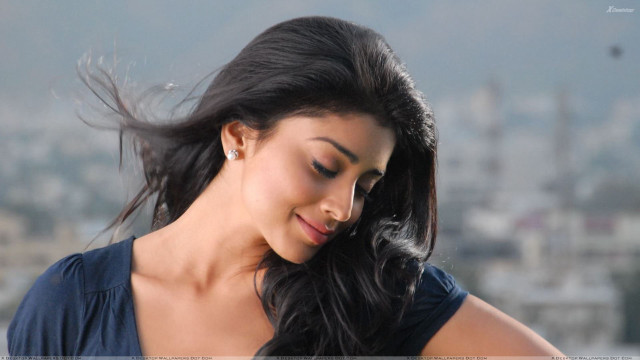 Araceli gilbert smiling blue shirt free wallpaper for desktop - medium preview image