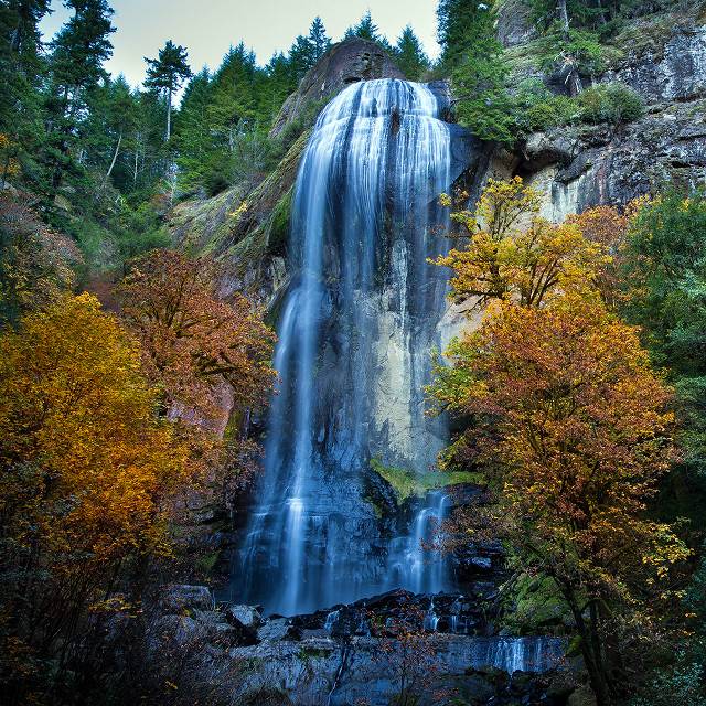Waterfall bridge fall trees leaves free wallpaper for tablet - medium preview image