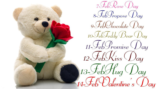 Teddy bear rose romantic valentines free wallpaper for desktop - medium preview image