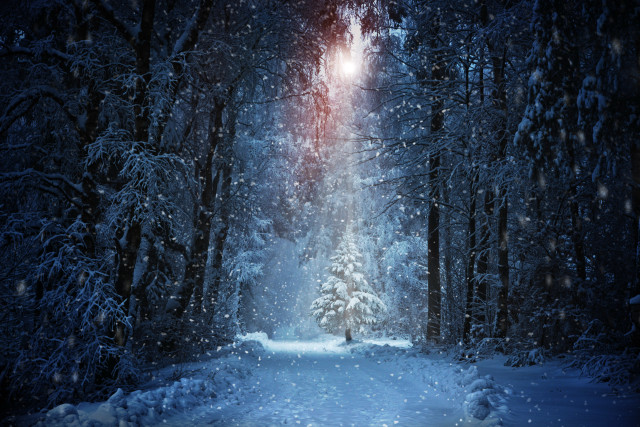 Snowy road magic night aurora free wallpaper for desktop - medium preview image