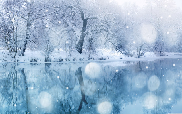 Snowy lake trees snow falling free wallpaper for desktop - medium preview image