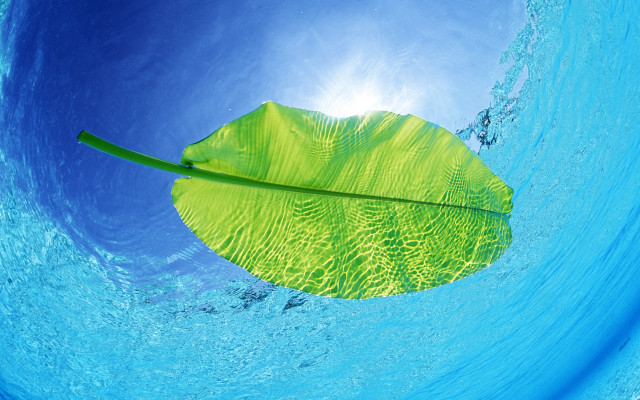 Leaf floating water blue sky #2 free wallpaper for desktop - medium preview image