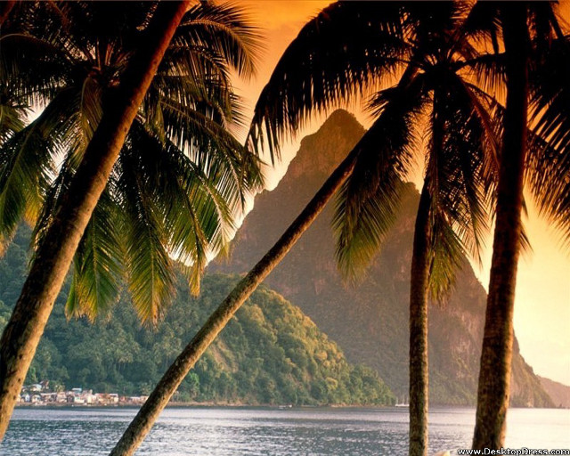 Tropical island palm trees boat #3 free wallpaper for desktop - medium preview image