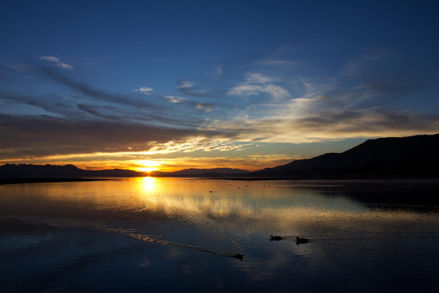 Sunset lake ducks mountains clouds free wallpaper for desktop - medium preview image
