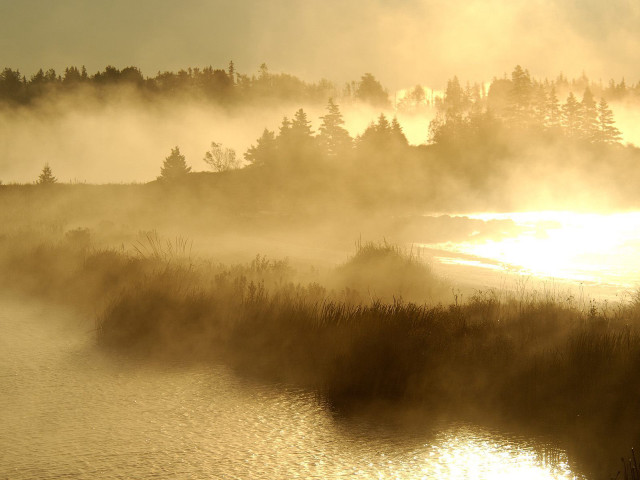 River fog trees sunset distant free wallpaper for desktop - medium preview image