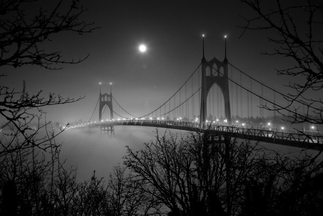 Bridge water night lights fog free wallpaper for desktop - medium preview image