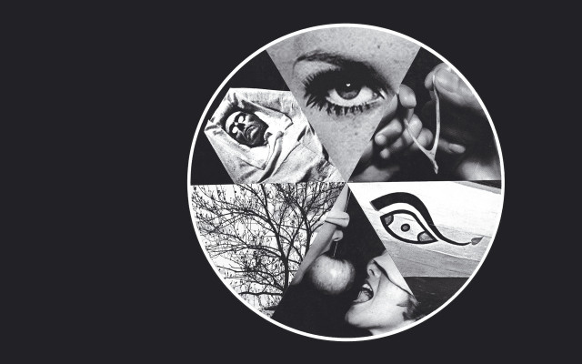 Eye tree bird black white free wallpaper for desktop - medium preview image