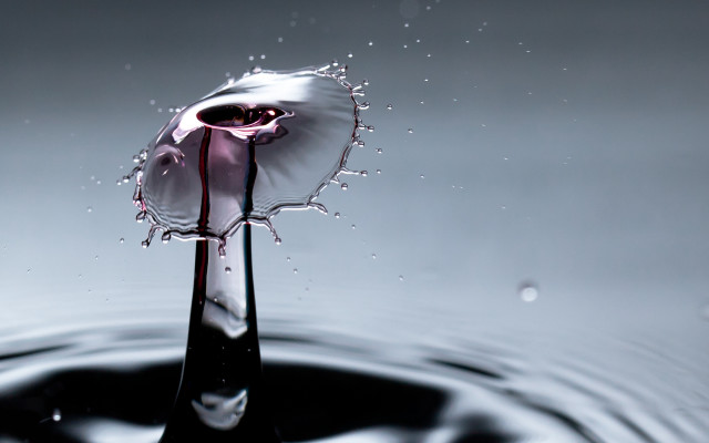 Drop water purple substance black free wallpaper for desktop - medium preview image