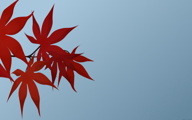 Red tree branch leaves blue free wallpaper for desktop - medium preview image