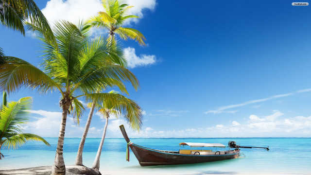 Tropical beach boat docked palm free wallpaper for desktop - medium preview image
