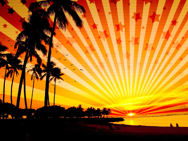 Sunset palm trees beach starburst free wallpaper for desktop - medium preview image