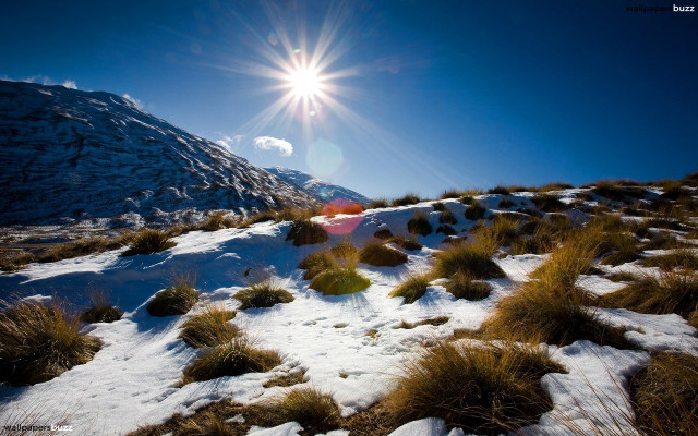Sunny snowy mountain landscape grass free wallpaper for desktop - medium preview image