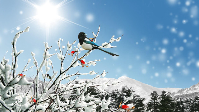 Bird tree snow mountain background free wallpaper for desktop - medium preview image