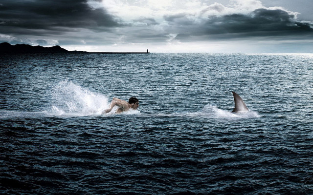 Man swimming ocean shark boat free wallpaper for desktop - medium preview image