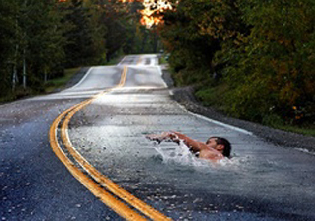 Man swimming road trees background free wallpaper for desktop - medium preview image