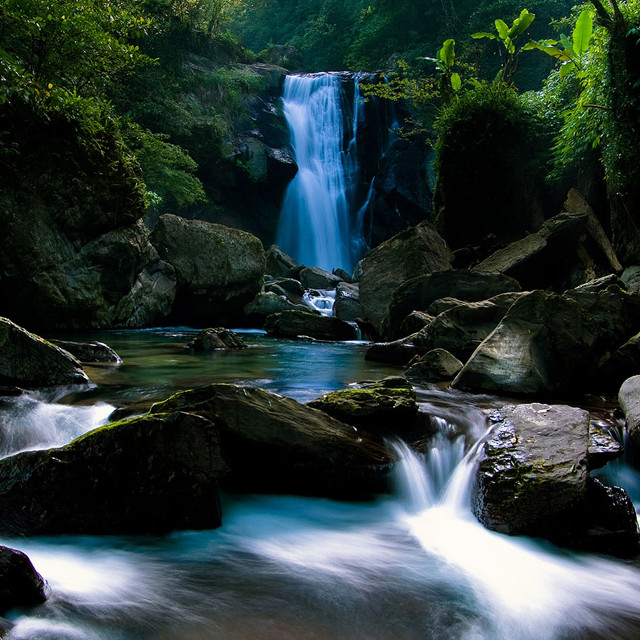 Waterfall forest rocks flowing lush free wallpaper for tablet - medium preview image