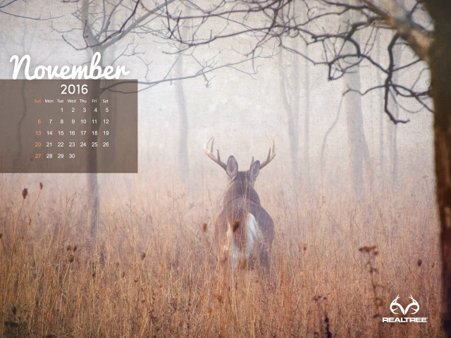 Calendar deer field grass trees free wallpaper for desktop - medium preview image