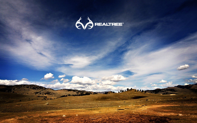 Beautiful sky clouds logo environmental free wallpaper for desktop - medium preview image