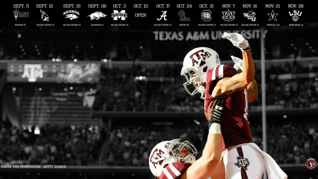 Football players standing field fans free wallpaper for desktop - medium preview image