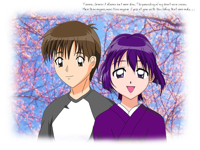 Anime couple tree pink flowers free wallpaper for desktop - medium preview image