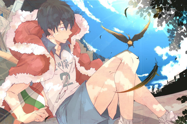 Man sitting bird flying woman free wallpaper for desktop - medium preview image