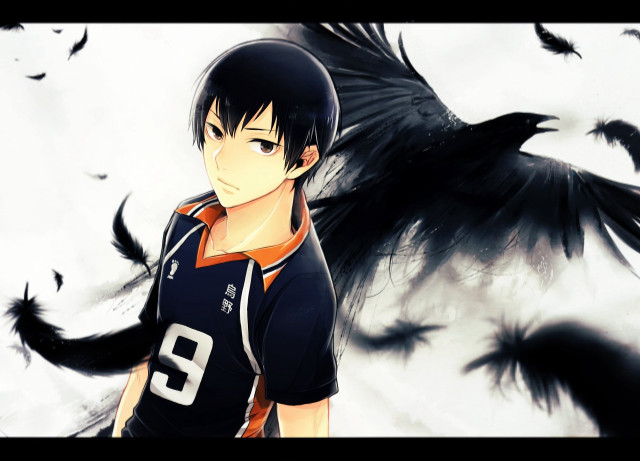 Man black bird shoulder black free wallpaper for desktop - medium preview image