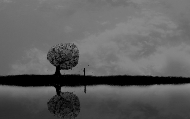Tree reflection lake cloudy sky free wallpaper for desktop - medium preview image