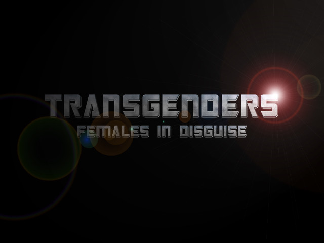 Transcenders silver light hat moon free wallpaper for desktop - medium preview image