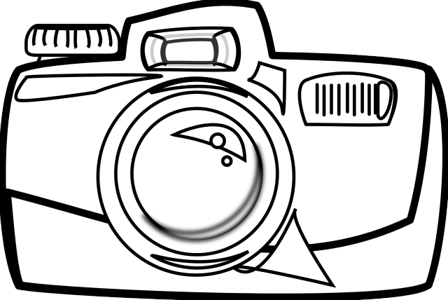 Camera bird polaroid monochrome video free wallpaper for desktop - medium preview image
