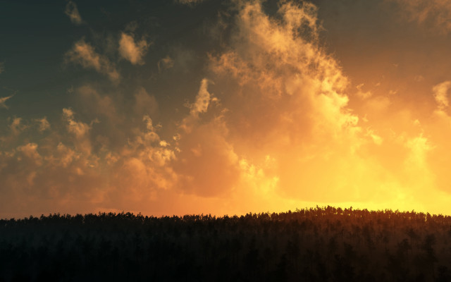 Plane flying forest cloudy sky free wallpaper for desktop - medium preview image