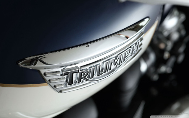 Motorcycle closeup triumph emblem black free wallpaper for desktop - medium preview image
