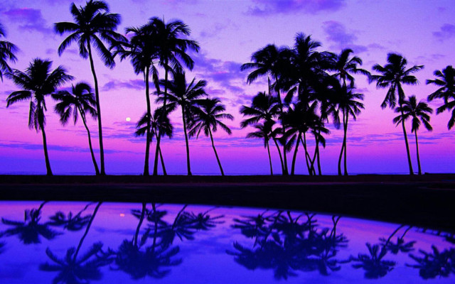Purple sunset palm trees reflection #2 free wallpaper for desktop - medium preview image