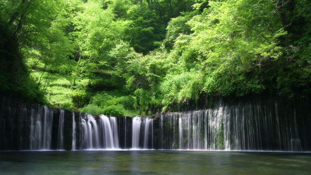 Waterfall forest river trees lush free wallpaper for desktop - medium preview image