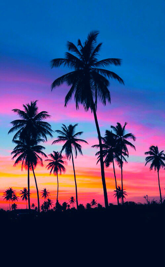Sunset palm trees blue pink free wallpaper for mobile - medium preview image