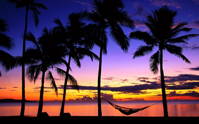 Hammock palm trees beach sunset #2 free wallpaper for desktop - medium preview image