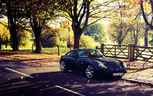 Black sports car autumn fence free wallpaper for desktop - medium preview image