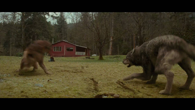 Dogs playing field red house free wallpaper for desktop - medium preview image