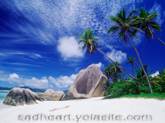Beach palm trees rock sky free wallpaper for desktop - medium preview image