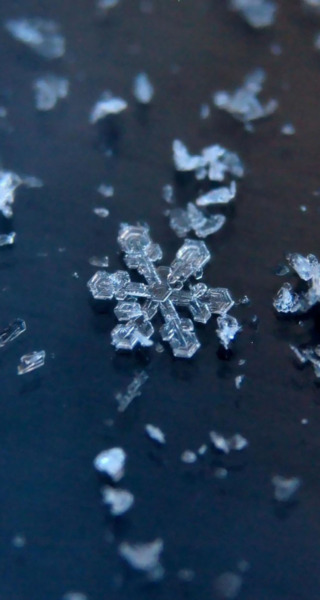 Snowflake black surface water droplets free wallpaper for mobile - medium preview image