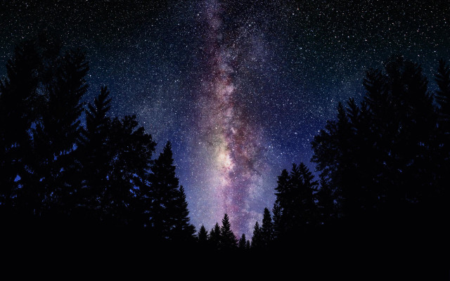 Night sky stars trees foreground #2 free wallpaper for desktop - medium preview image