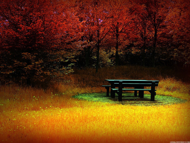 Bench field trees red sky #2 free wallpaper for desktop - medium preview image