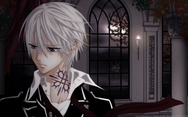Gothic anime man whitehair blackjacket free wallpaper for desktop - medium preview image