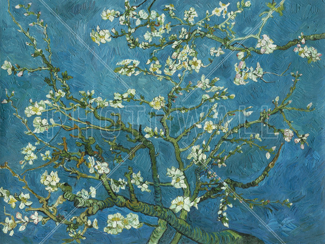 Tree whiteflowers ocean leaf blanchehoschedé free wallpaper for desktop - medium preview image