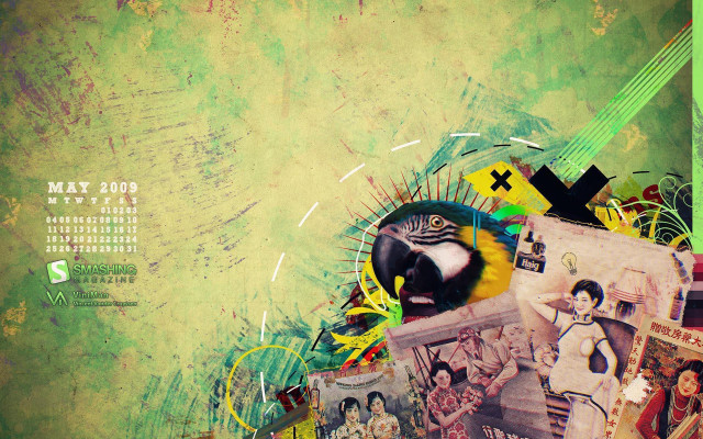 Collage bird green background calendar #2 free wallpaper for desktop - medium preview image