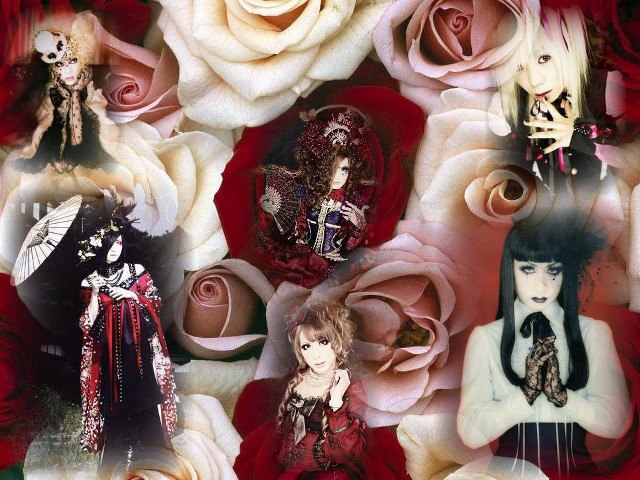 Woman roses skeleton collage chest free wallpaper for desktop - medium preview image