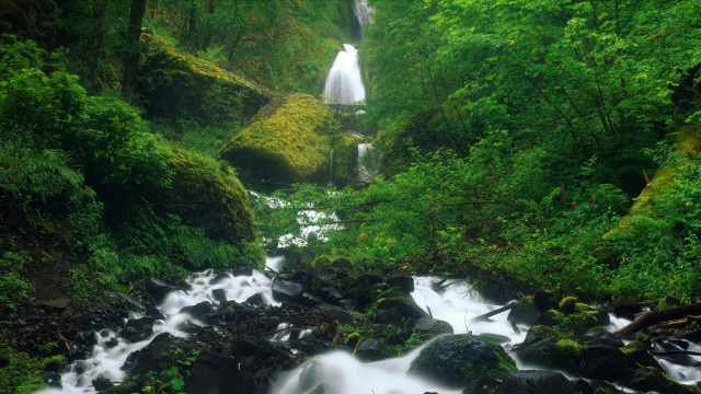 Waterfall forest rocks trees stream #6 free wallpaper for desktop - medium preview image
